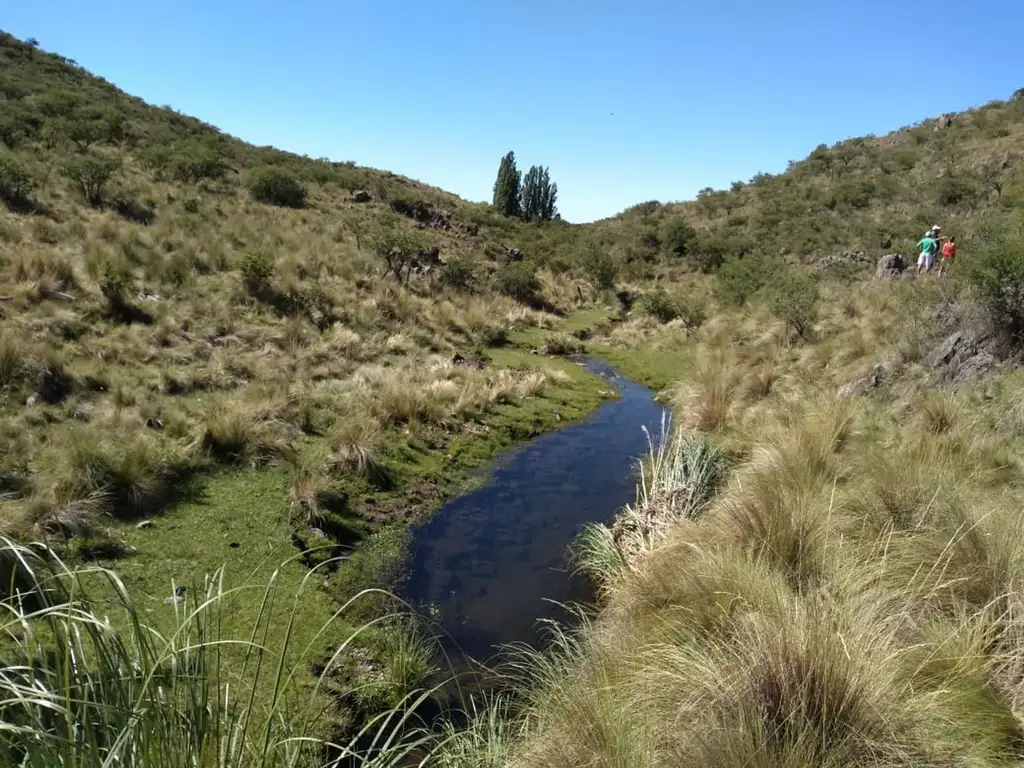 Vendo Campo de 107 hectareas en Estancia Grande