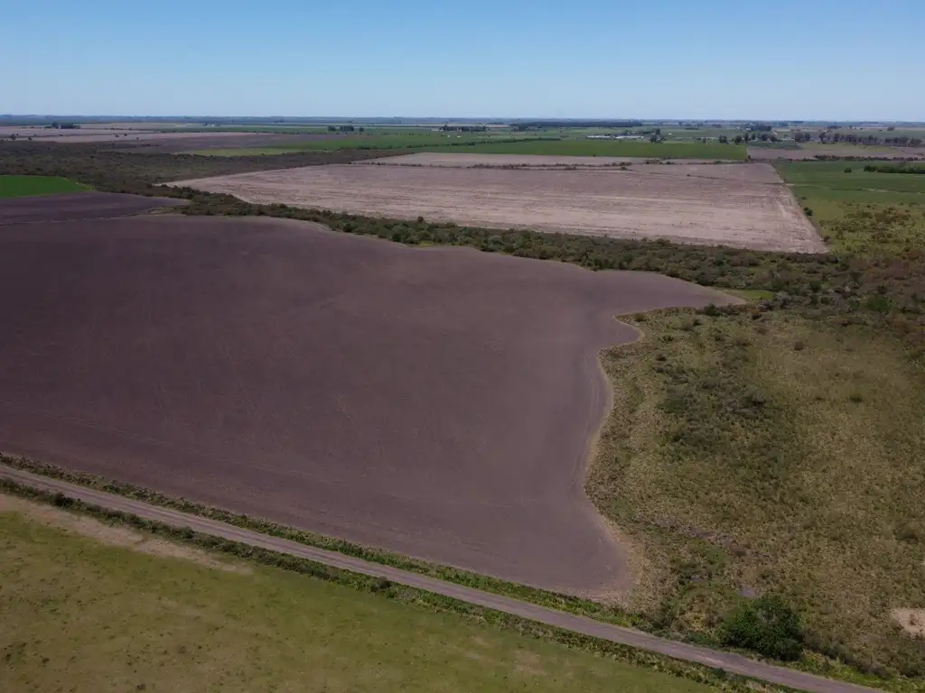 115 has campo agrícola Dpto Uruguay