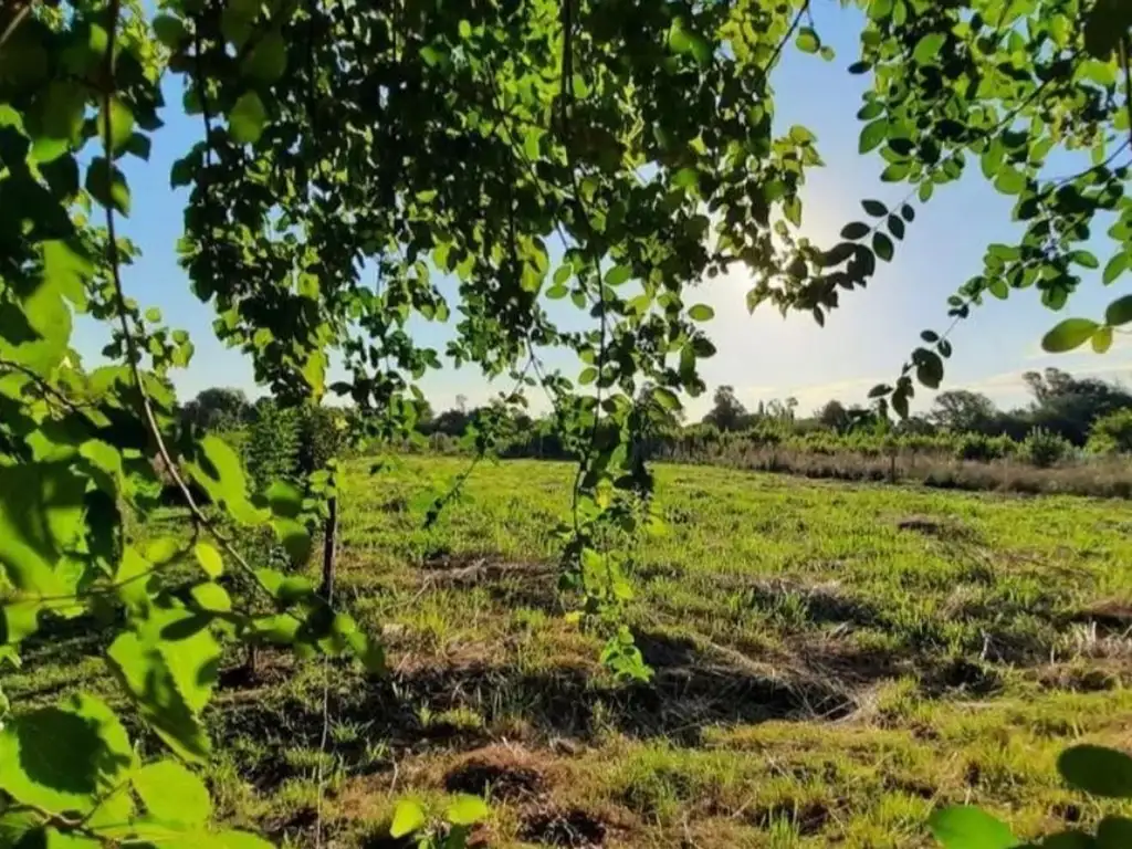 Amplio  Terreno de 1565 m2 Tortuguitas-jose C Paz