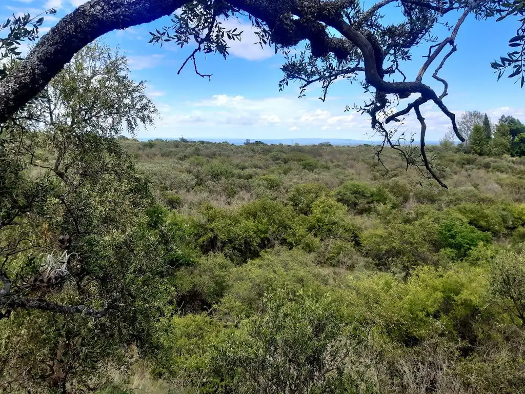 Terreno en Super Oferta en Yacanto Traslasierra