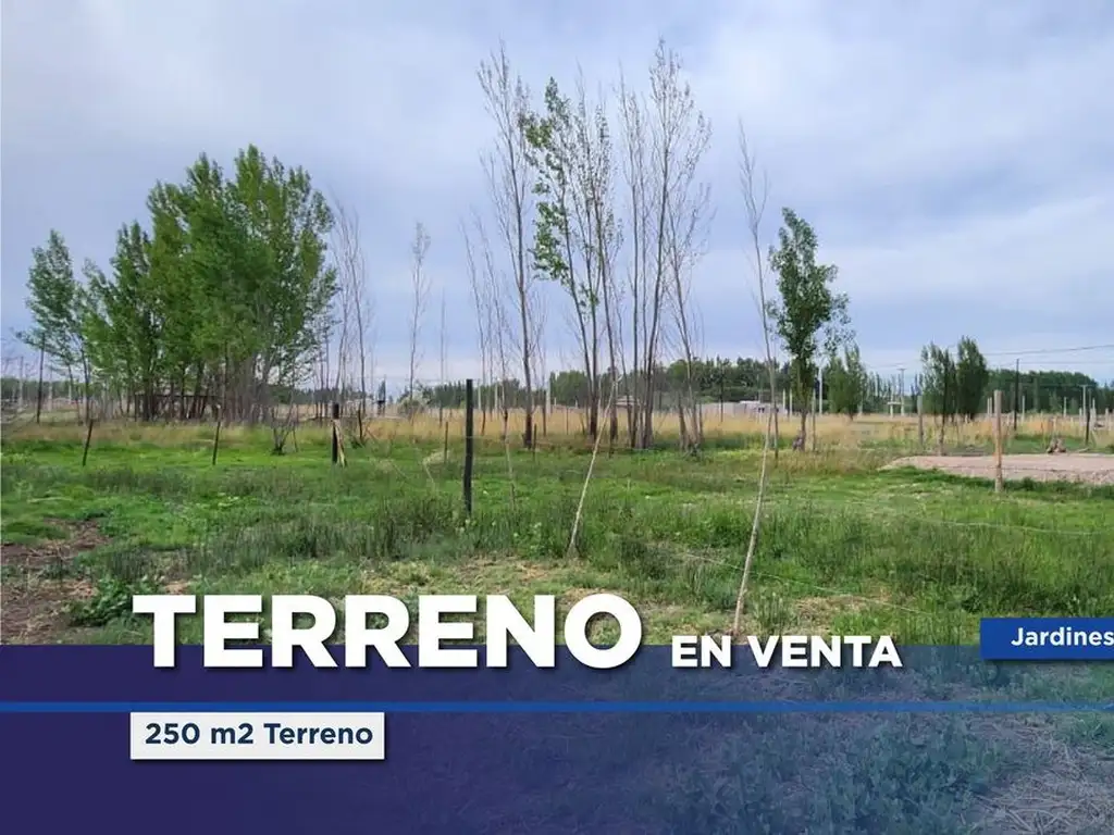 Terreno en Venta Jardines del Limay