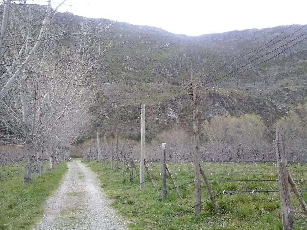 Chacra 8 Hectáreas - Cultivo fruta fina - Epuyen