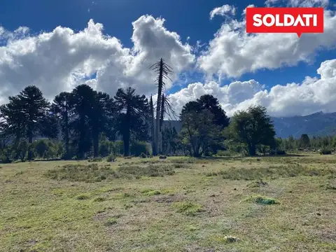 TERRENO en VENTA - LOTE - MOQUEHUE - VILLA PEHUENIA - NEUQUEN - PATAGONIA