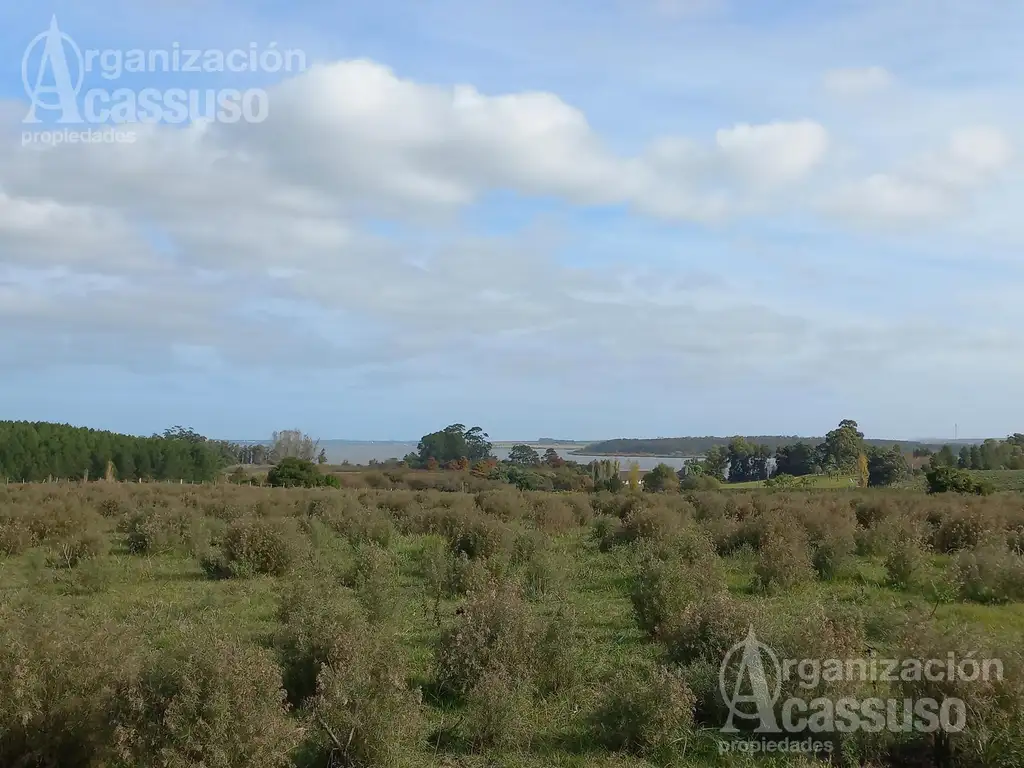 Maldonado - Chacra Venta - Ruta 12 - Punta Ballena - Laguna de Sauce