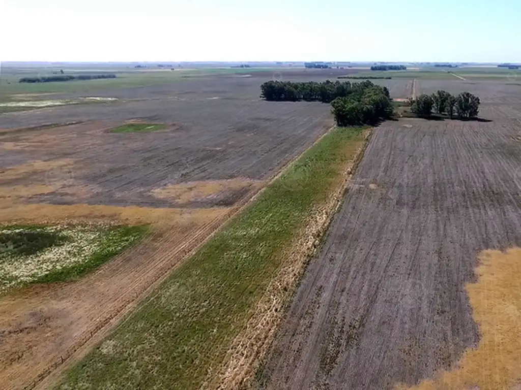 Campo en venta 330 has En Bolivar. Oportunidad de campo 60 % agrícola!