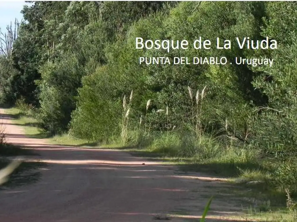 Terreno en  venta Punta del Diablo - Bosque de la Viuda - Financiación