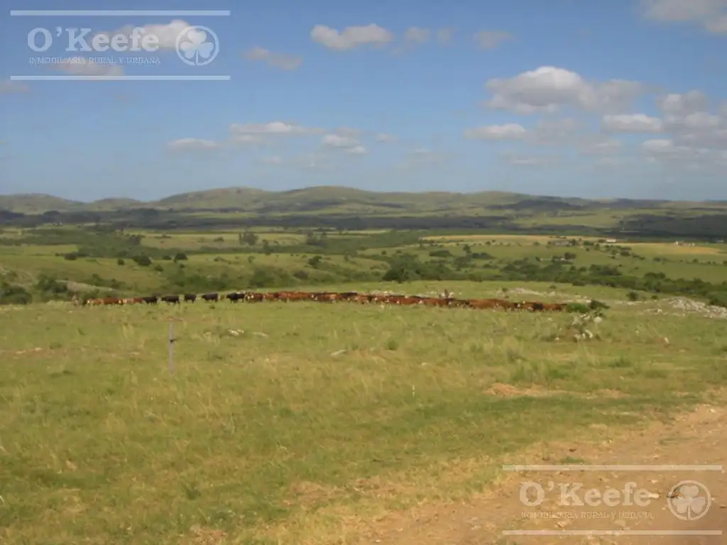 Campo en venta de 1675 has Cerro Largo, Uruguay