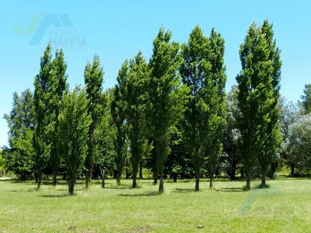 Terreno en  Mirabosques, los Cardales