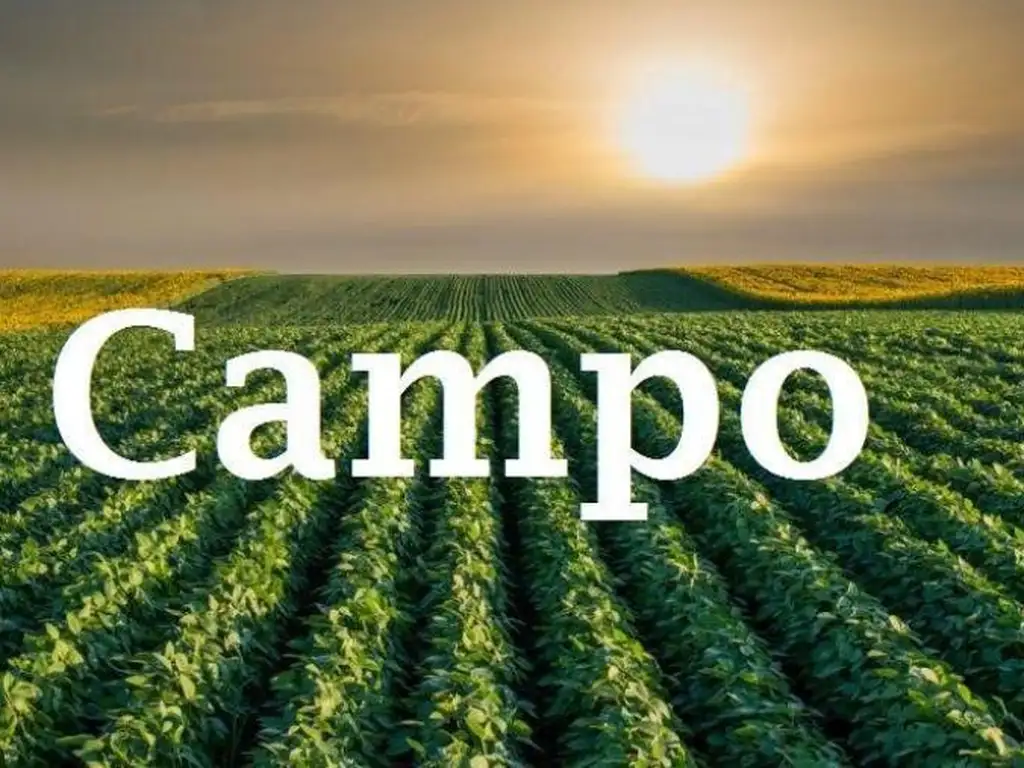 VENTA - Campo 290 Ha - Sobre ruta 14 - Armienda, Santa Fe.