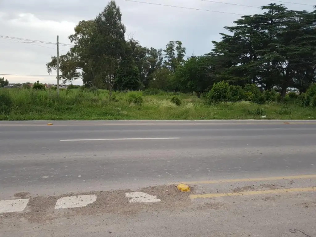 137 e/ 77 y 78: Fracción de 3, 5 hectáreas en Los Hornos