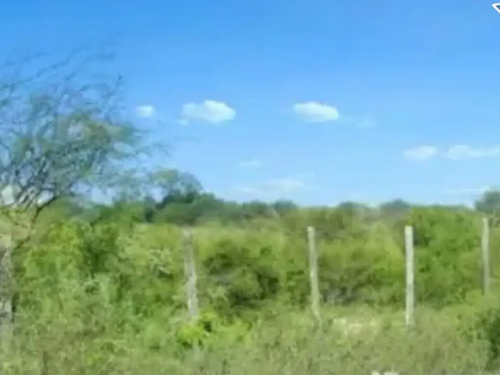 Buen campo Ganadero sobre ruta y con riego...del Río Salado