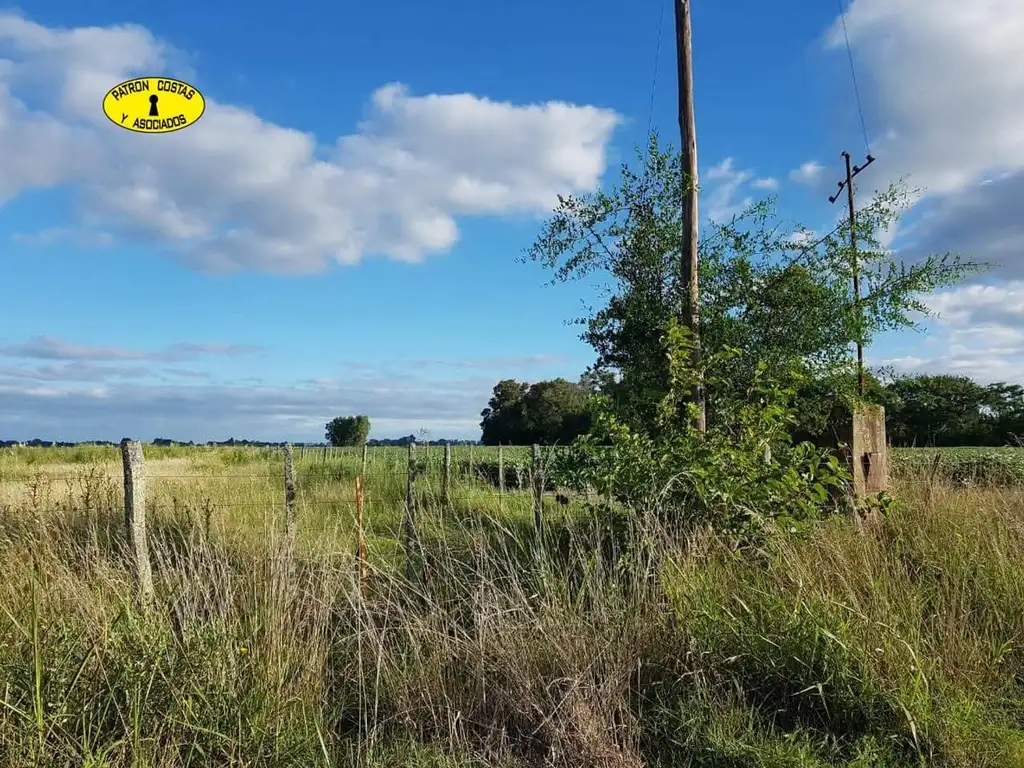 2781CF- 8,5 ha sin mejoras para explotación loteo inversores