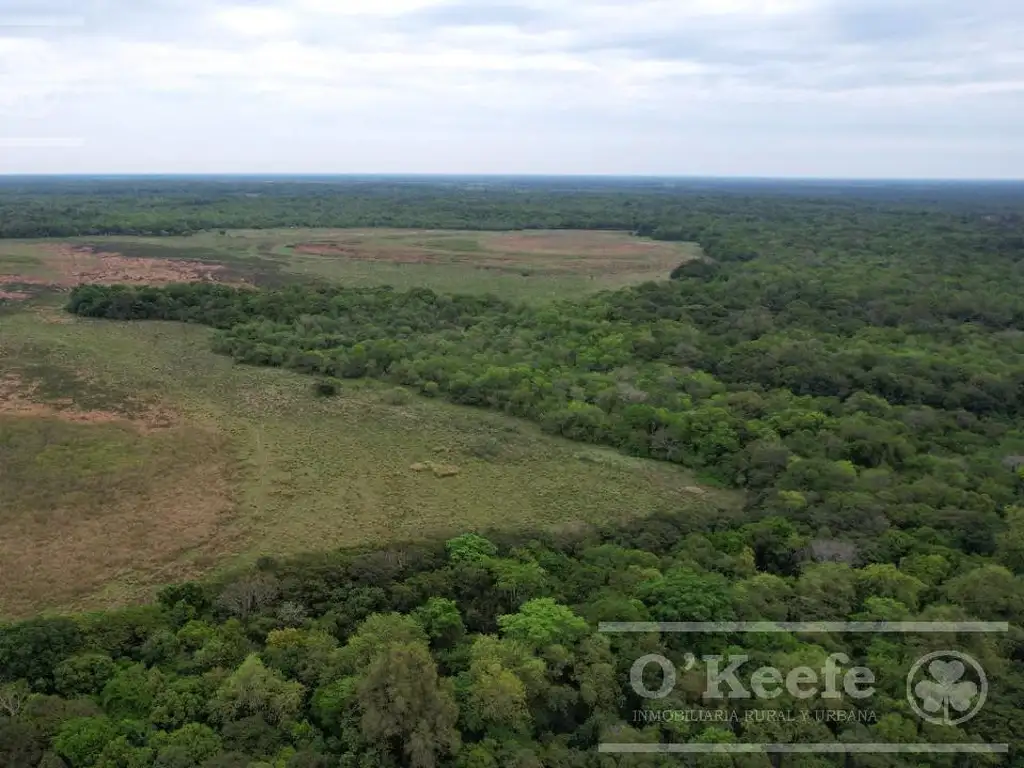 Campo en venta de 1150 has en Formosa. Cerca de Ruta Nac. 11