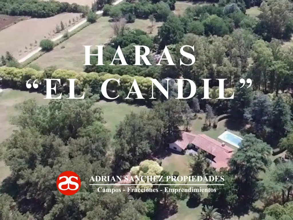 HARAS "EL CANDIL" : IDEAL PARA DESARROLLO DE ACTIVIDADES ECUESTRE