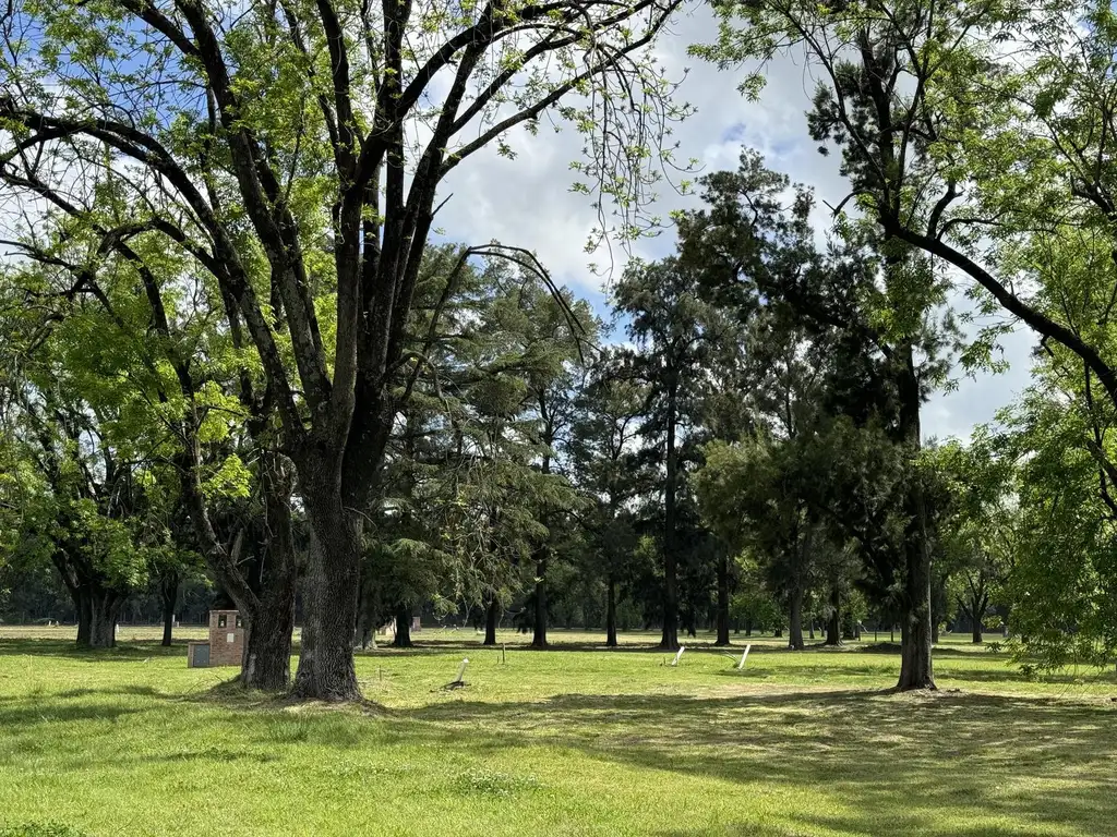 Almahue Pilar - Reventa Lote