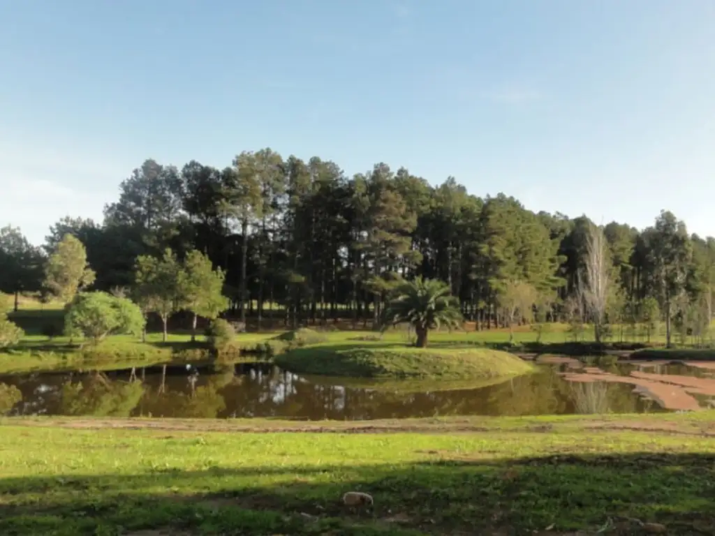 Quinta - Venta - Uruguay, Punta del Este