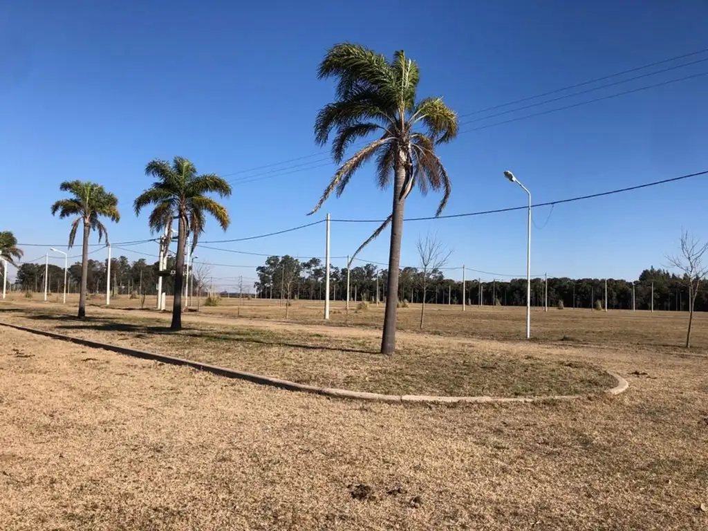 TERRENO TIERRA DE SUEÑO CASILDA