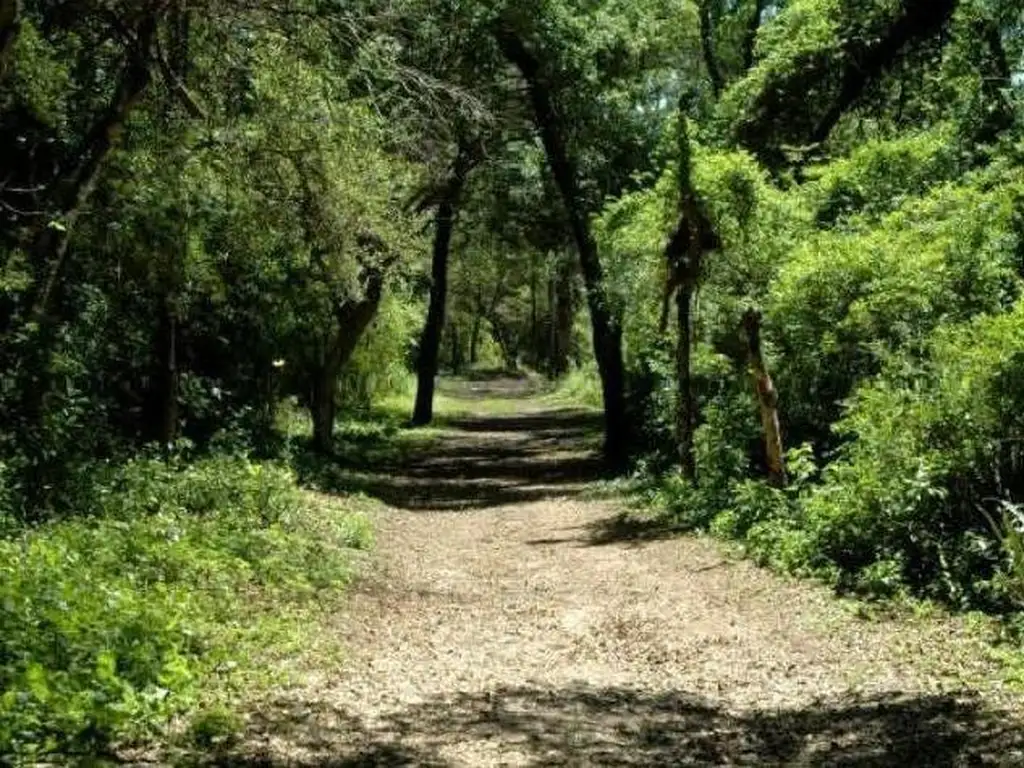 Buen campo agrícola de monte en Nueva Esperanza, costa del Río Salado