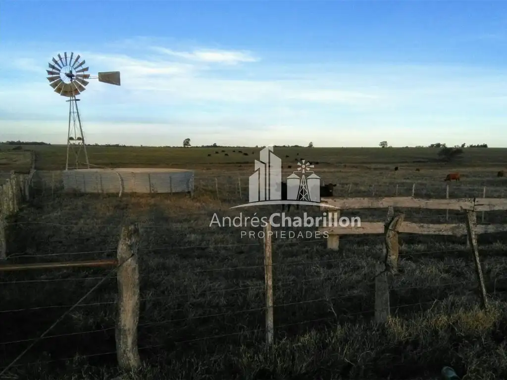 Campo mixto - Costa Grande - Diamante - Entre Ríos