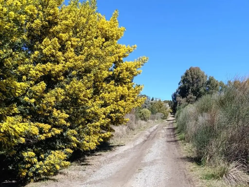 EXCELENTE FRACCIÓN - 19ha. Mejor Zona Tandil