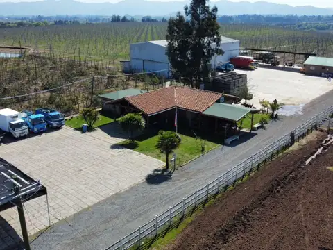 Fundo San Alfonso de Pangue, Curicó