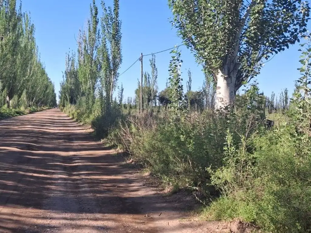 Venta Terreno Salto las Rosas, San Rafael, Mendoza