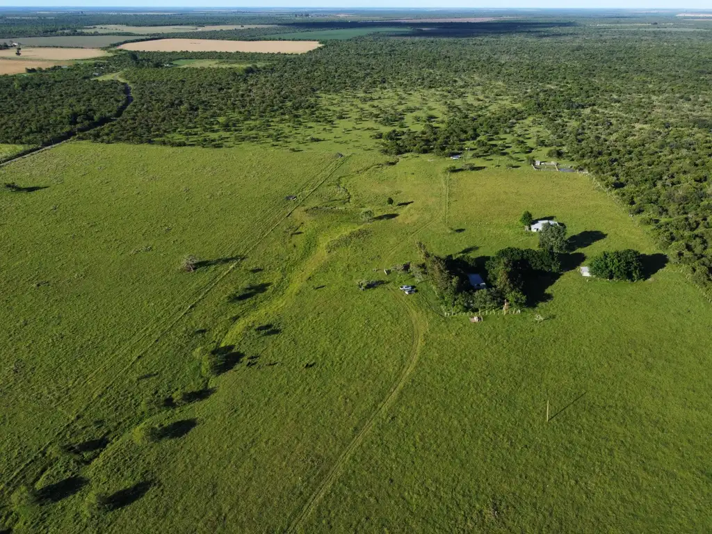 100 has muy buen campo ganadero y agrícola