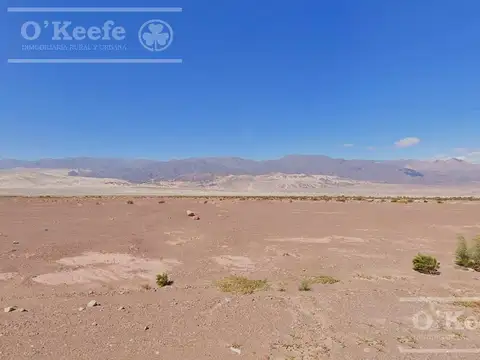 Campo 732  has en Venta Fiambala, Catamarca