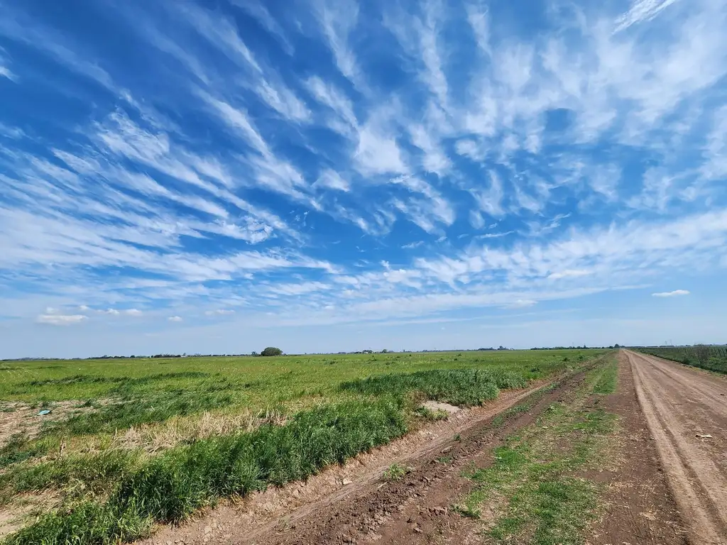 Campo 18 ha Figuera Santa Fe