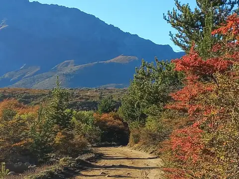 Campo en Mallin alto El Bolsón