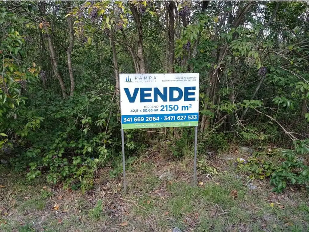 Venta Terreno Oliveros