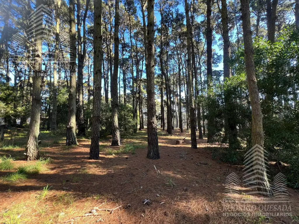 |TERRENO DE 1240MTS²| |EL PINAR| |LA LUCILA DEL MAR|