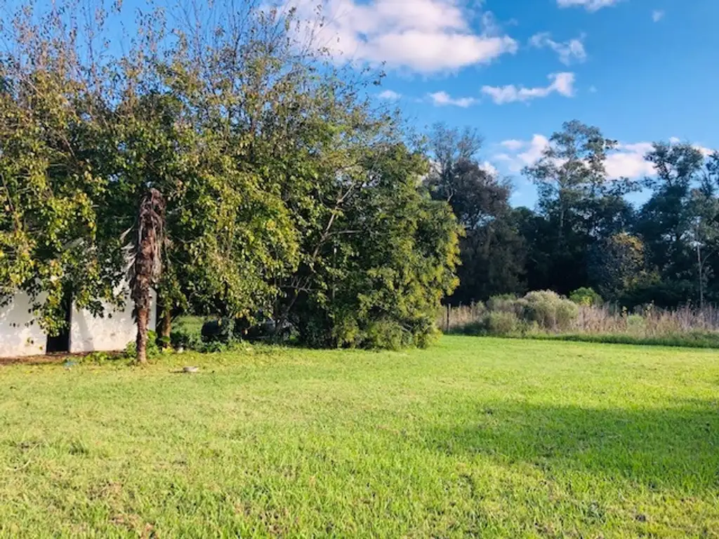 Quinta sobre lote de 1ha. A tres cuadras de Panamericana