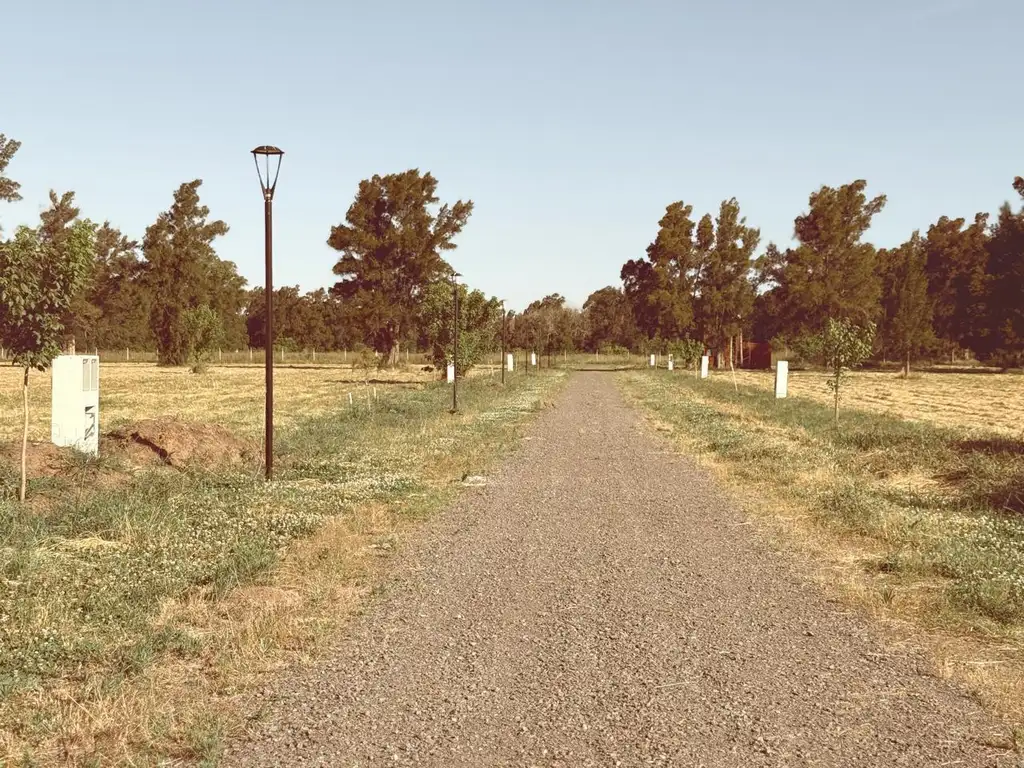 Barrio LOS PINARES en Arana, lotes de 900 a 1200 mts Ingreso por asfalto