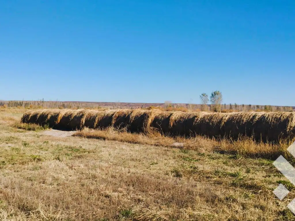 Campo en  RP/ Tratayen