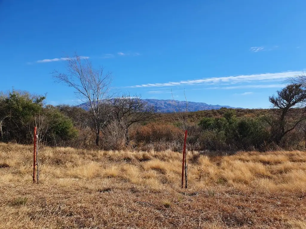 LOTE DE 5.000 M2 EN EL VOLCÁN - SAN LUIS