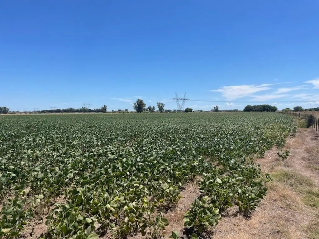 Campo ganadero con mejoras de trabajo.