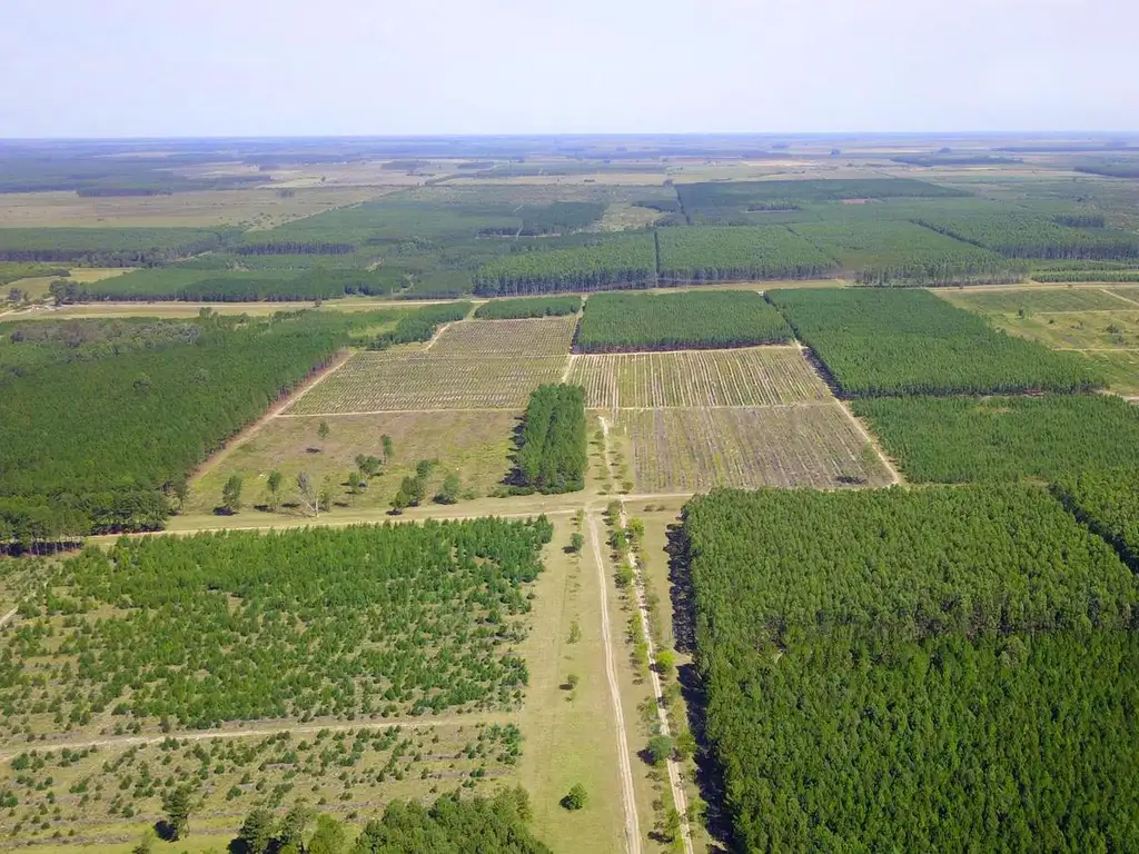 Campo en venta en Concordia