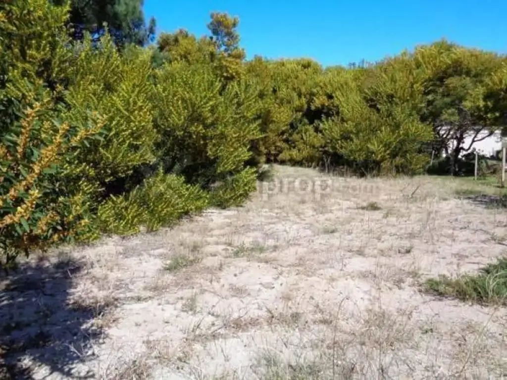 LOTE ESPLENDIDO BIFAMILIAR de 900 M2 - Las Gaviotas | Cod.0401 |