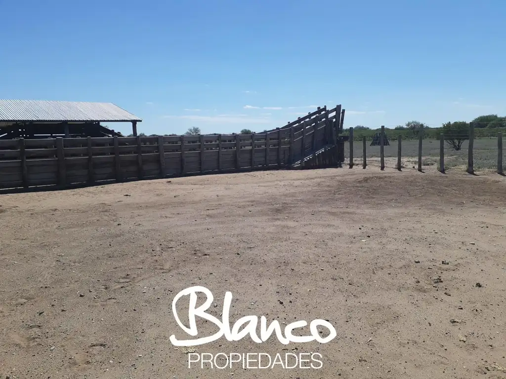 Campo  en Alquiler en Nahuel Mapa, Gobernador Dupuy, San Luis