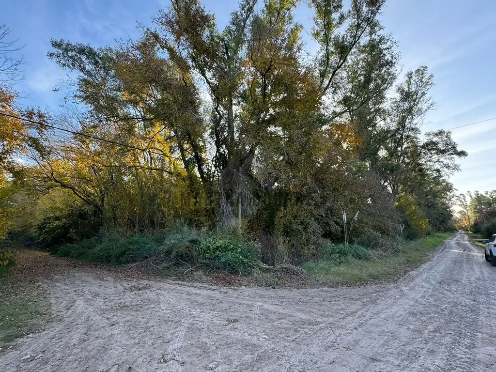 Terreno Lote  en Venta en El Remanso, Exaltación de la Cruz, G.B.A. Zona Norte