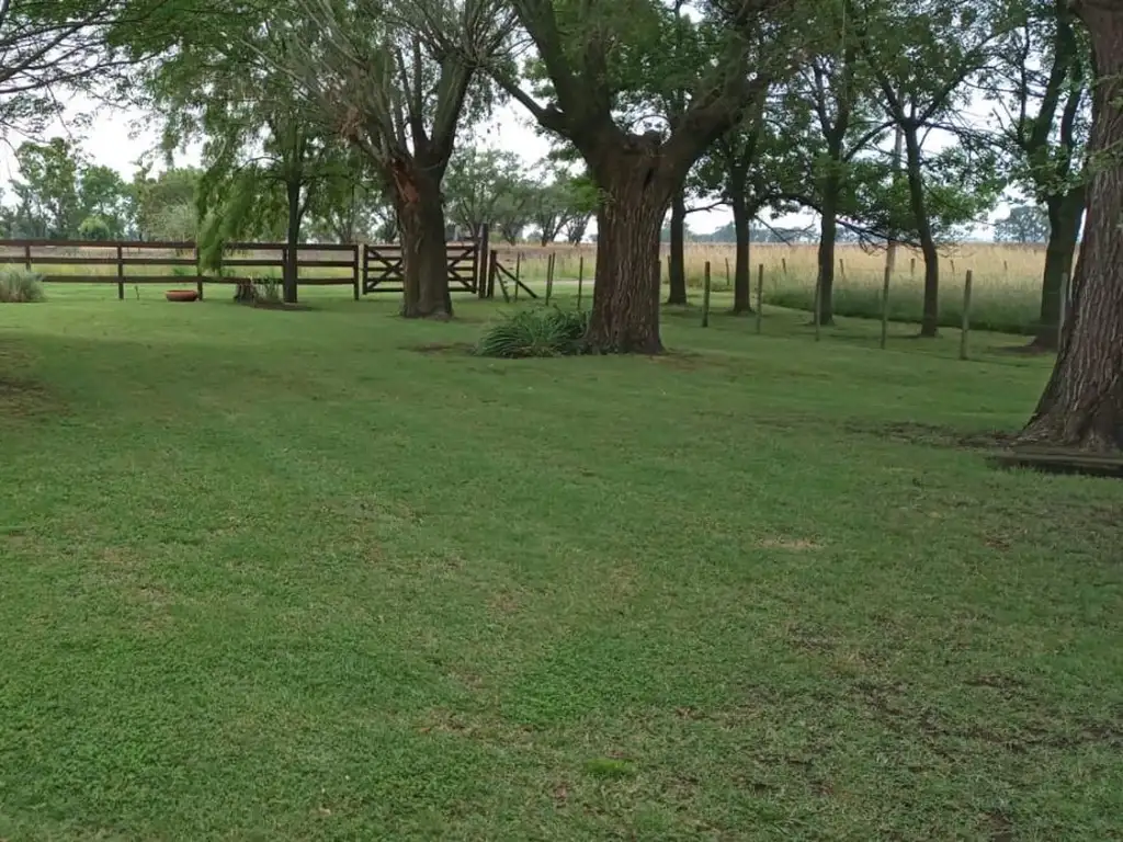 Campo - Venta - Argentina, Saladillo