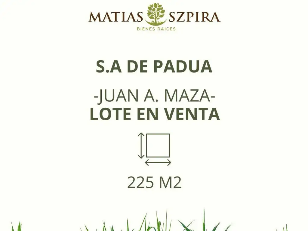 Lote - Venta - Argentina, Merlo - Juan A. Maza 299