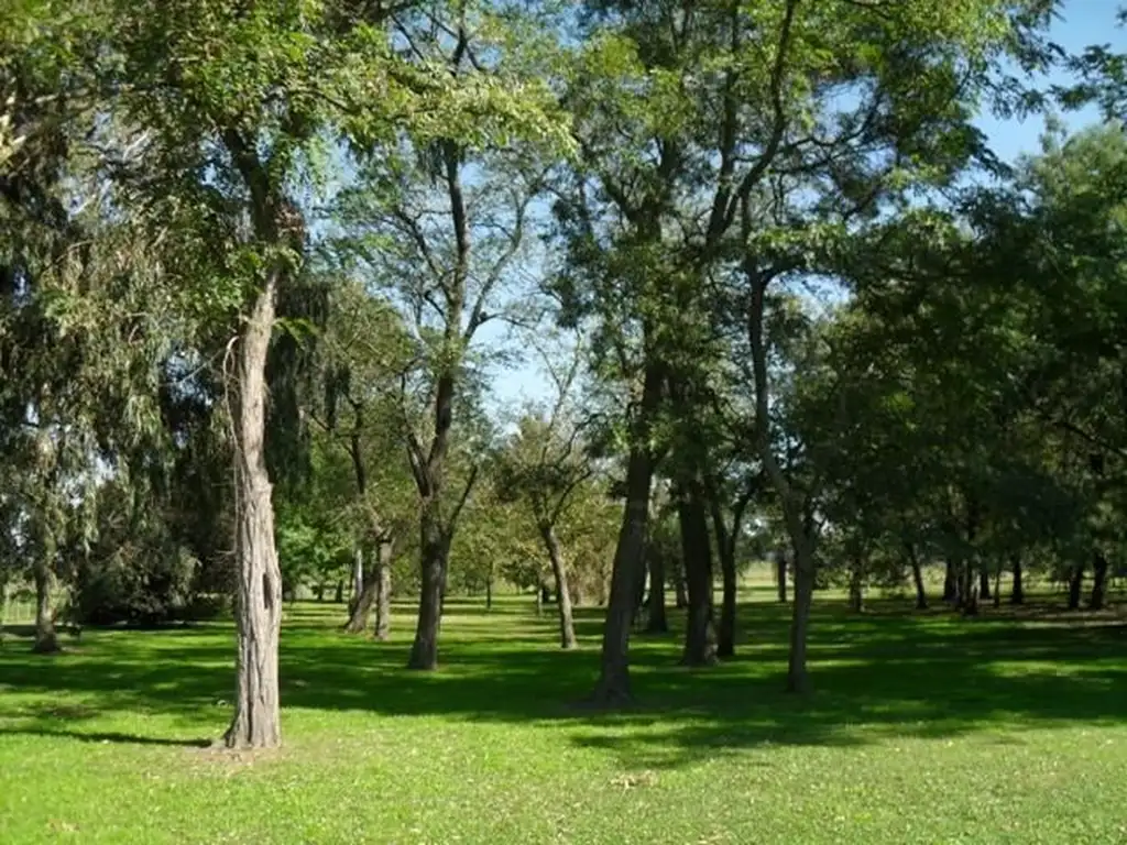 600 Hectáreas Localidad de  LEZAMA Estancia Agrícola