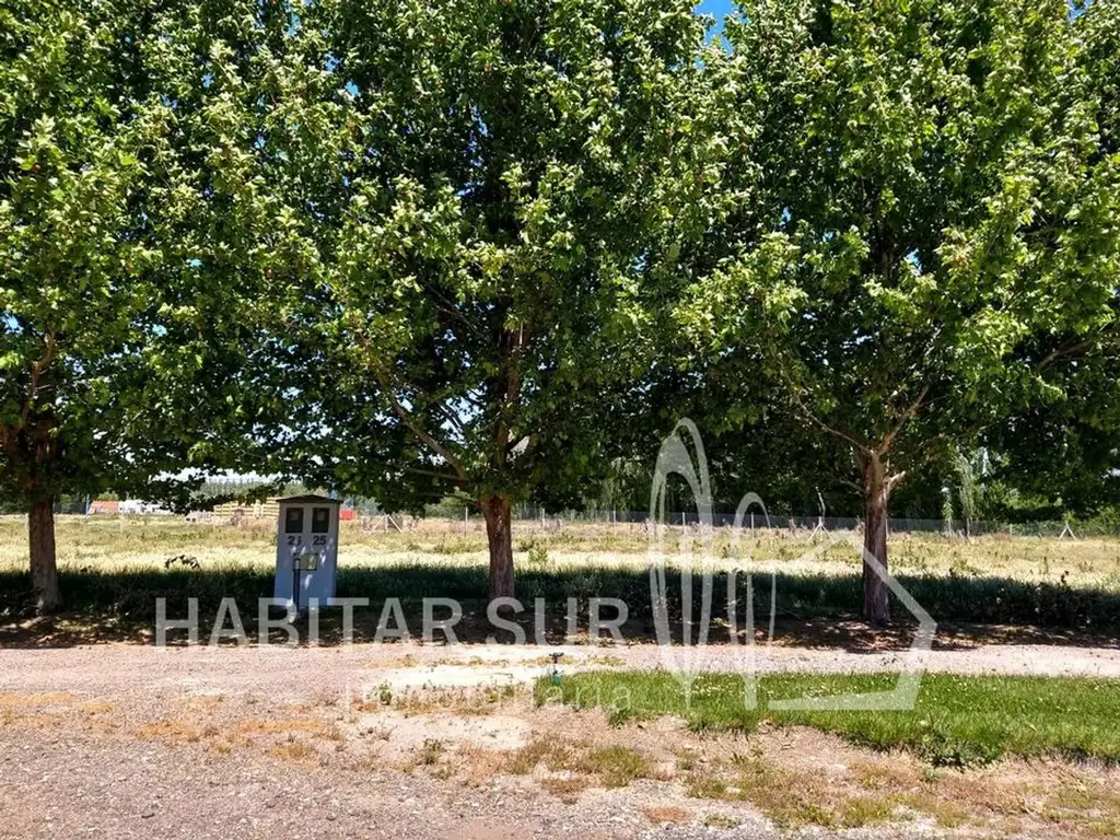 Lotes en venta- La Campigna- General Roca