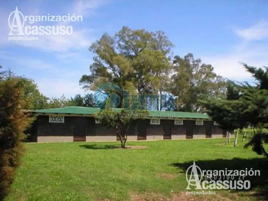 San Antonio de Areco - Campo Venta