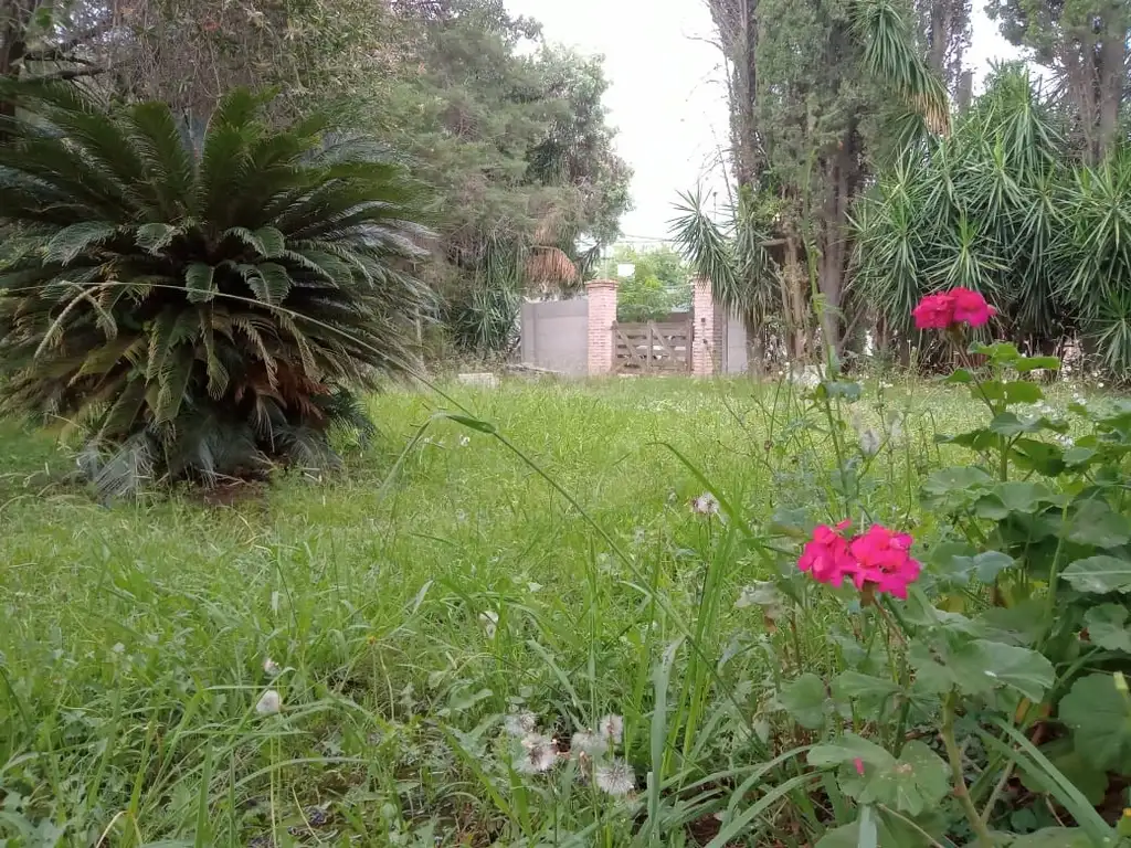 Vendo quinta ,Paso al 2000, Zárate