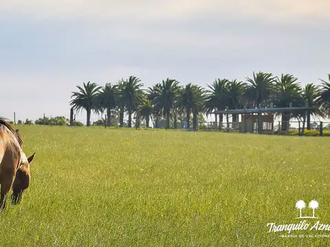 Venta de terreno en Barrio Privado, Bella Vista.