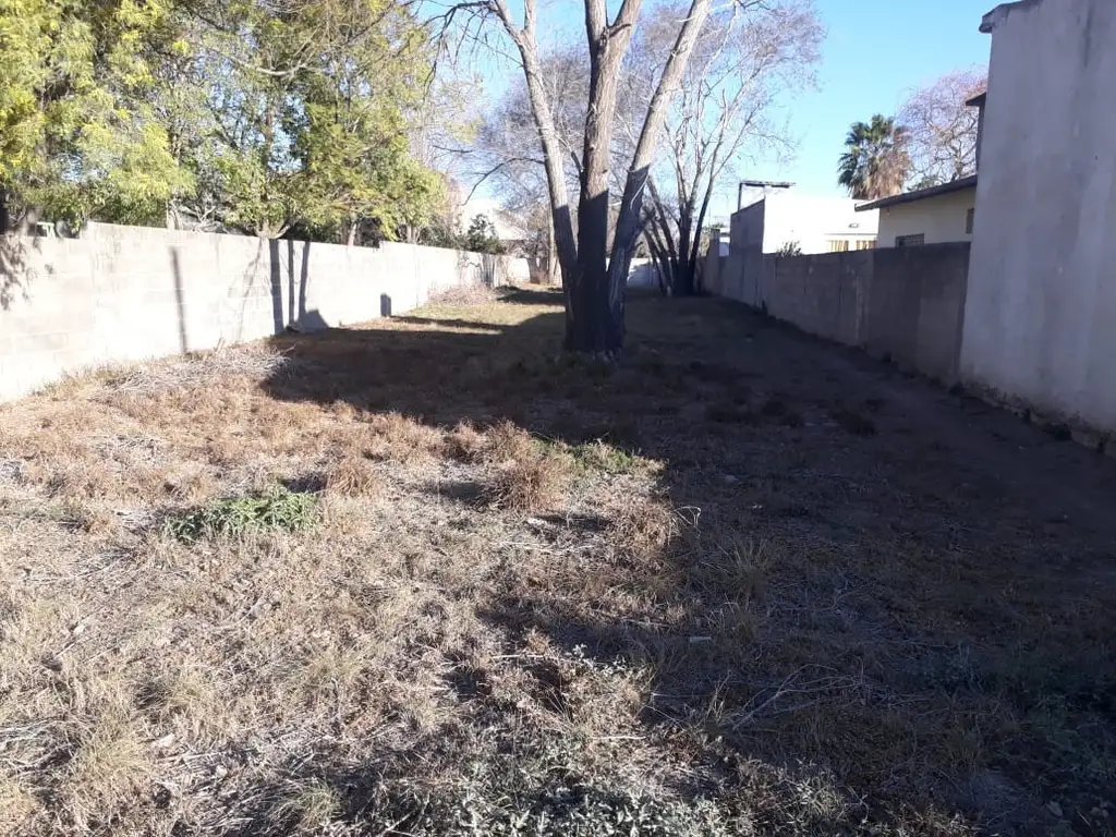 TERRENO EN BARRIO ARENALES, Gas Natural