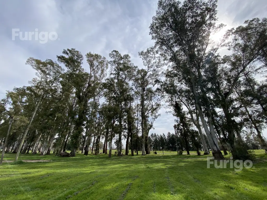 Terreno en  Villa Mugueta